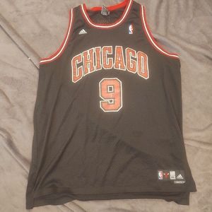 Luol Deng Authentic Stitched Adidas Jersey